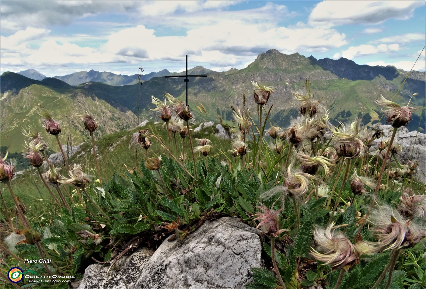 64 Camedrio alpino (Dryas octopetala) in fioritura avanzata alla croce di vetta della Corna Grande  (2089 m).JPG
